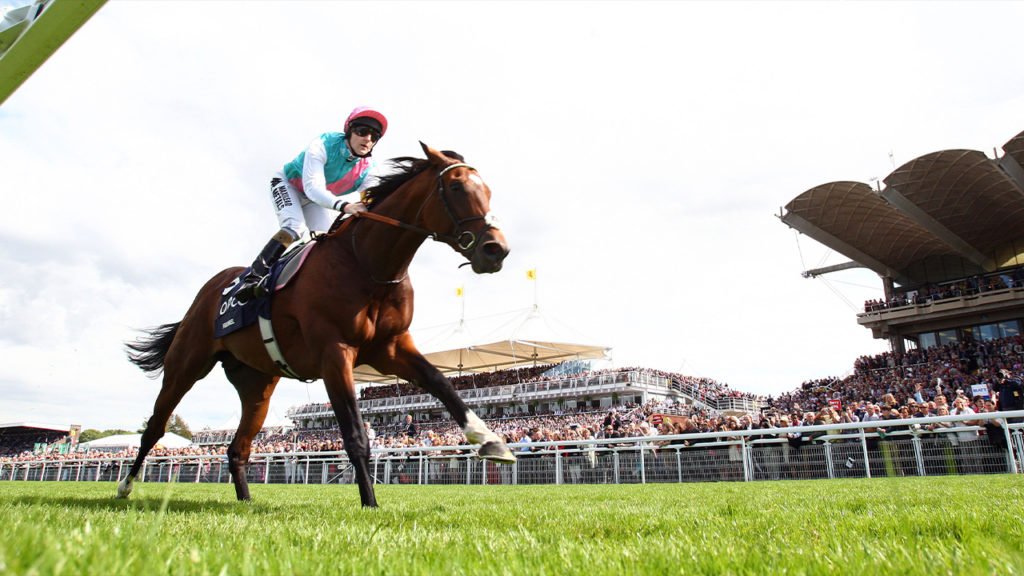 Frankel winning the Sussex Stakes for a second time