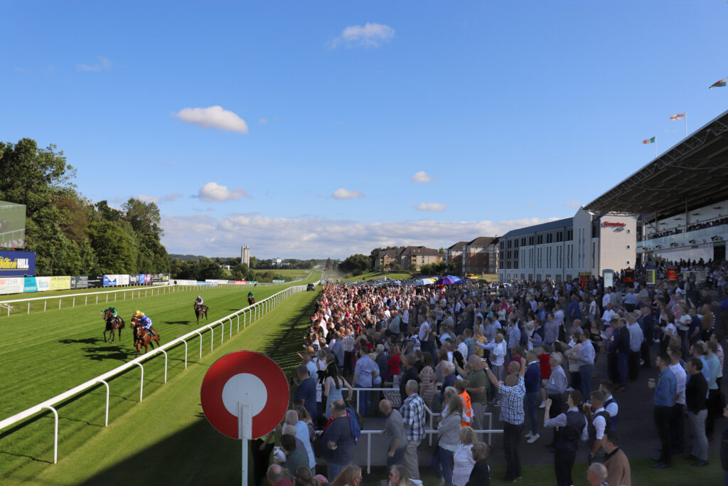 Crowd in the stands watching the horses run in at Hamilton PArk