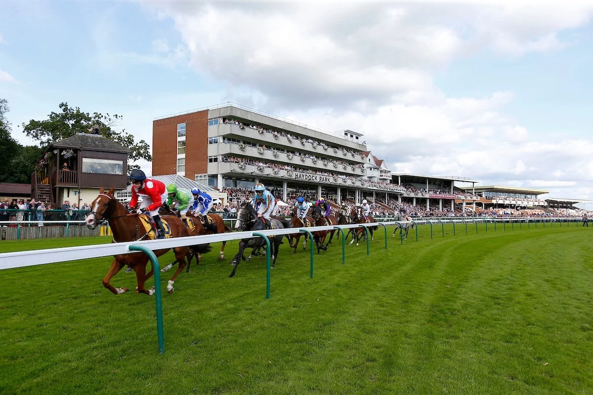 Are Dogs Allowed At Haydock Races