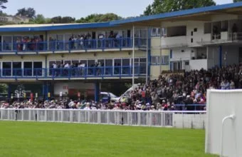 Newton Abbott stands