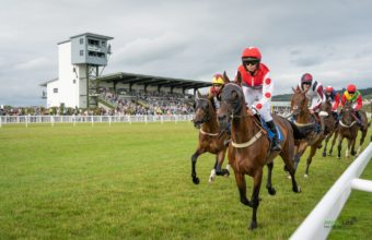 Horses pass the Ffos Las grand stand