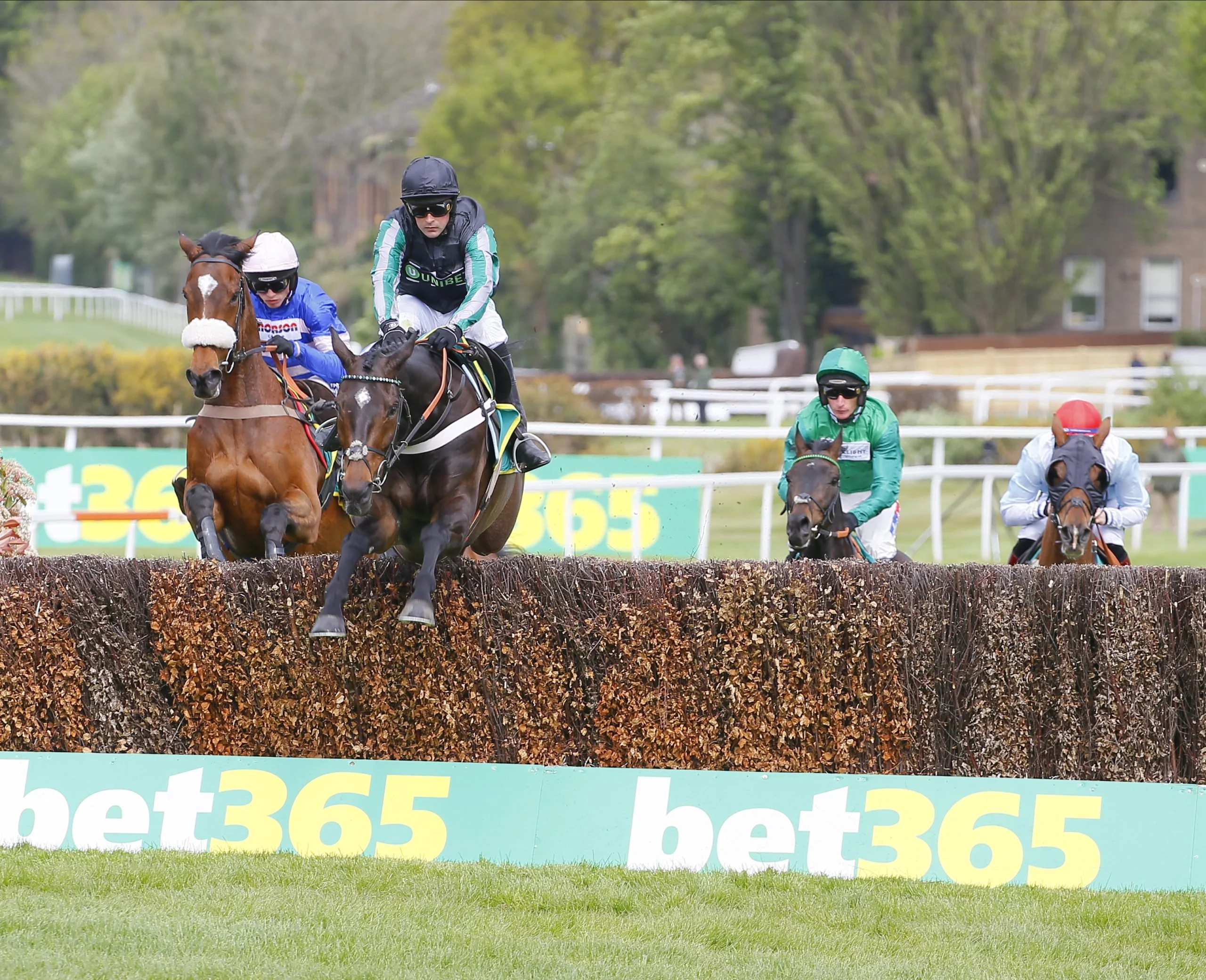 Jump Racing - A Beginner's guide - Great British Racing