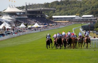 Horses head down the home straight at Goodwood racecourse