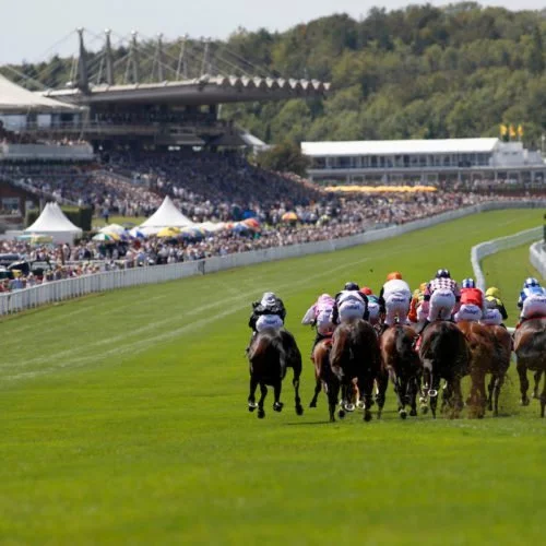 Goodwood racecourse - horse racing