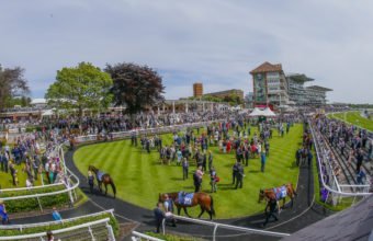 Runners parading in the parade ring for The Langleys Solicitors British EBF Marygate Fillies' Stakes