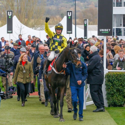 shishkin wins the Supreme Novices' Hurdle