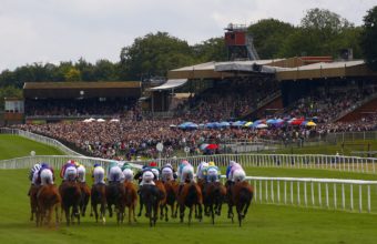 Runners in The sportingbet.com Handicap Stakes head towards the Stands at The July Course