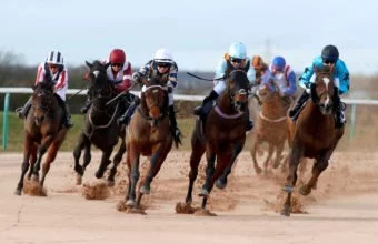 Three C's and Antonia Peck winning The Bombardier Golden Beer Female Jockeys' Handicap on the AW at Southwell