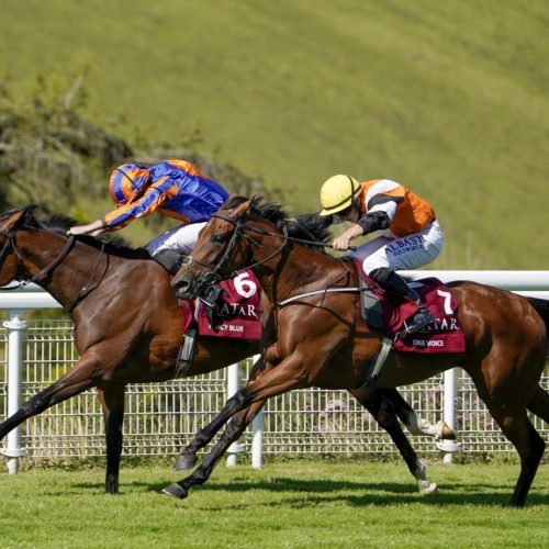 Fancy Blues wins the Nassau Stakes 2020