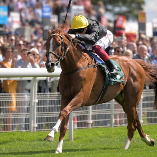 Stradivarius racehorse