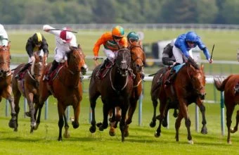 Top 12 Funniest Horse Names - Great British Racing Top 12 Funniest Horse Names - Great British Racing