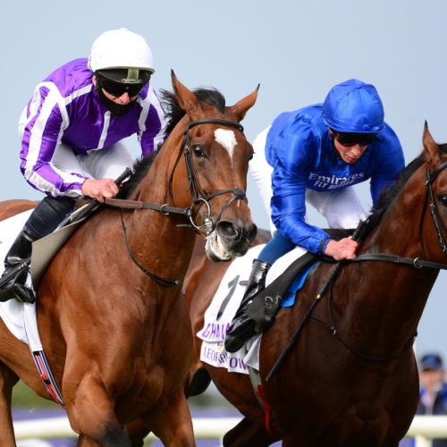 Magical Ghaiyyath Champions Day