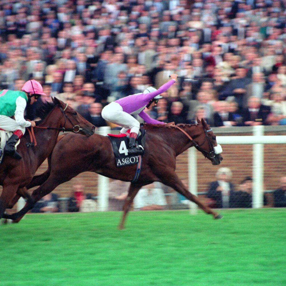 International Women's Day | Female Pioneers At The Cheltenham Festival ...