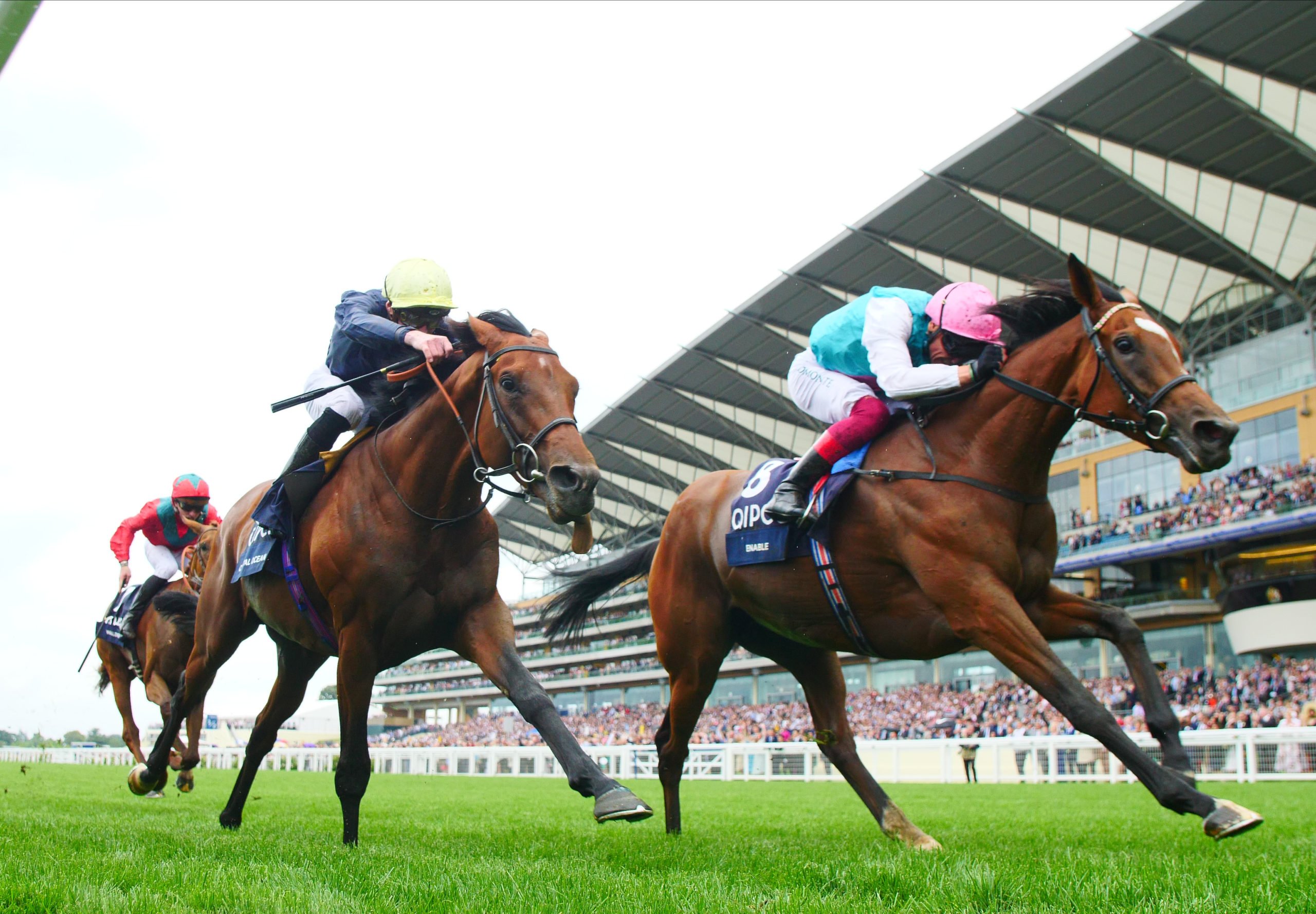 All Hail The Queen Enable Retires Great British Racing all-hail-the-queen-enable-retires-great-british-racing