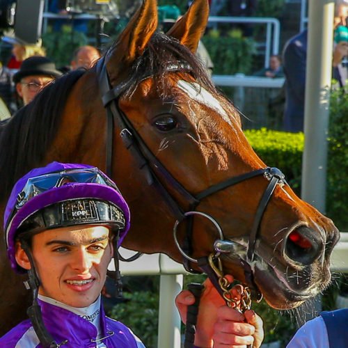 Magical racehorse quiz