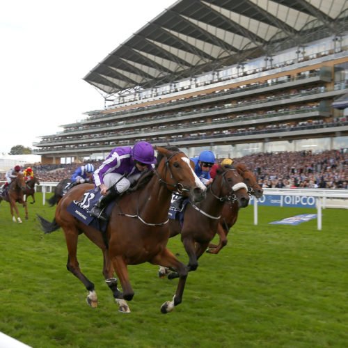 British Champions Day greats quiz - Minding pictured