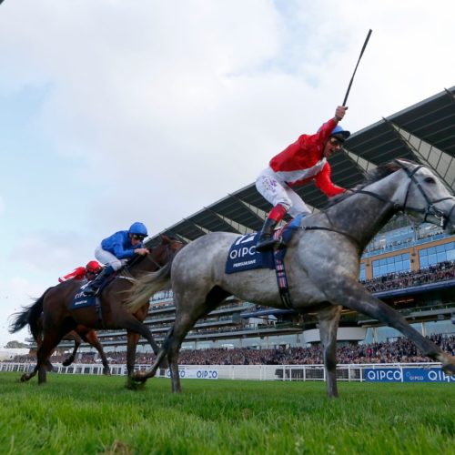 Frankie Dettori at Champions Day, Persuasive pictured