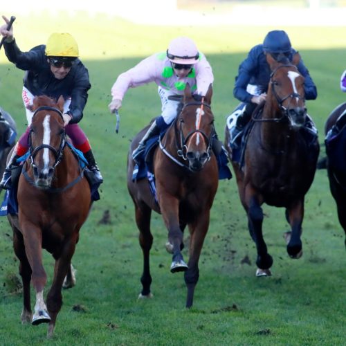 Frankie Dettori at Champions Day, stradivarius pictured