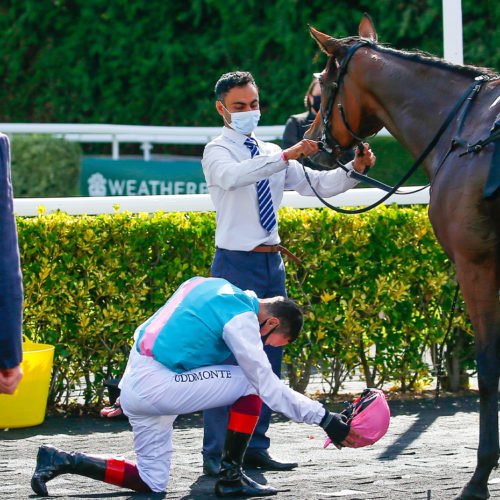 The Queen of racing, Enable retires