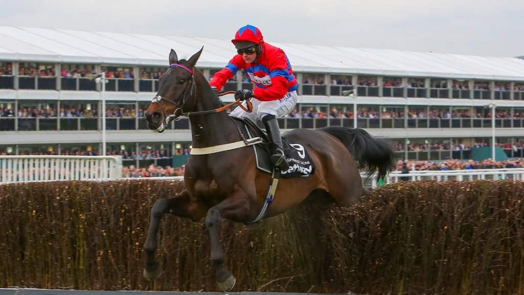 sprinter sacre