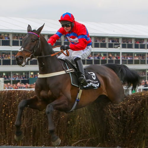 sprinter sacre