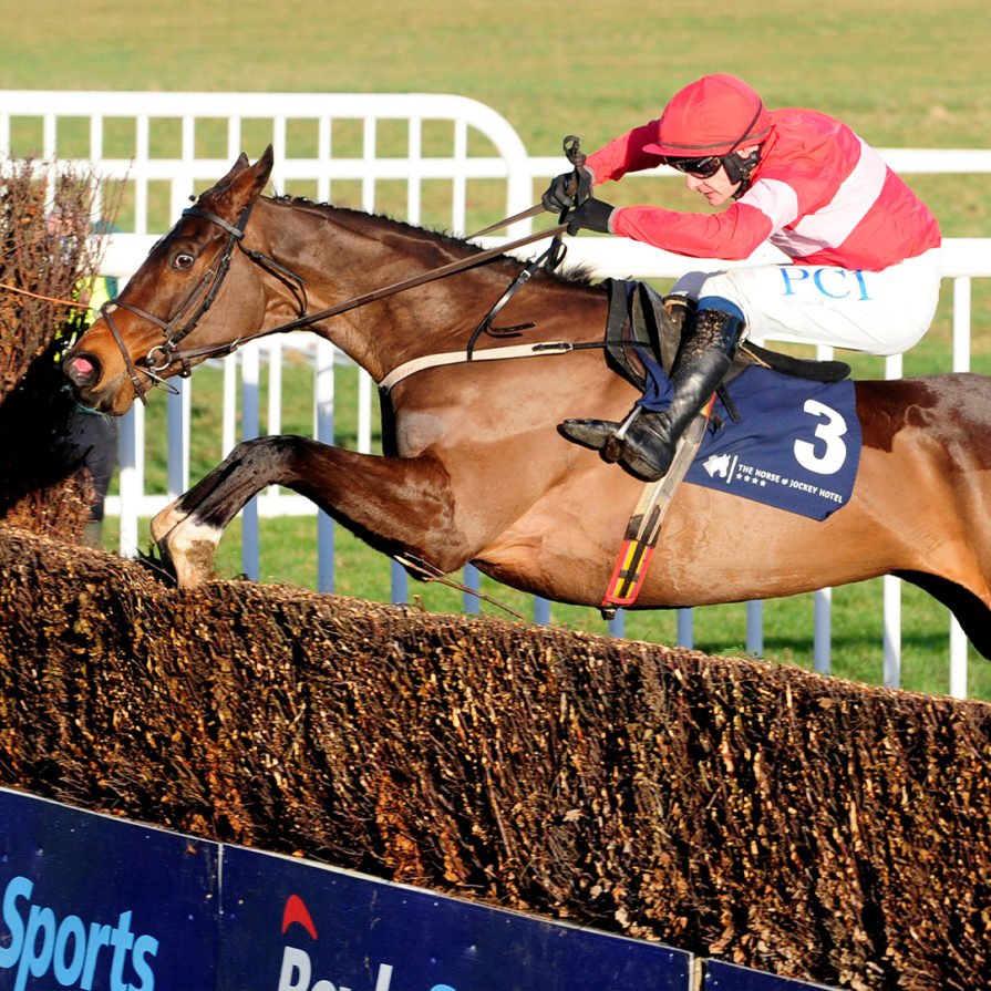 2021 Grand National Sweepstake Kit - Great British Racing