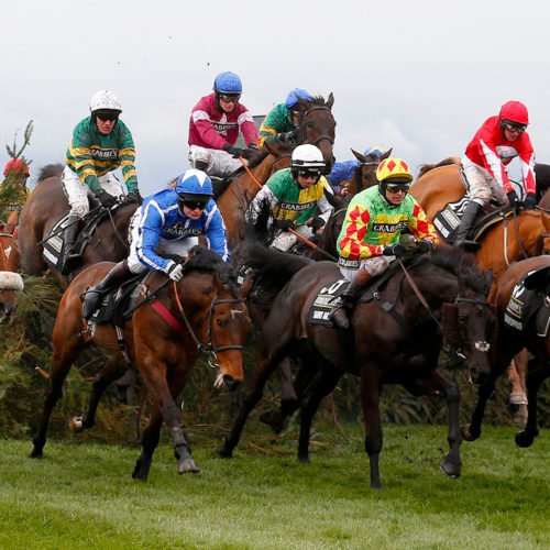 how to pick a grand national winner