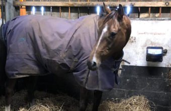 Potters Corner in their stable