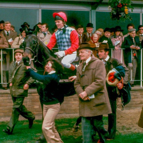 Dual Champion Hurdle winner Sea Pigeon