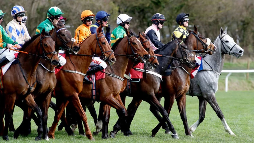11 popular phrases that come from horse racing - Great British Racing