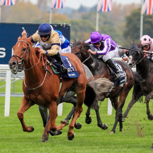 shared ownership, in the paddock, ghiel shiel pictured
