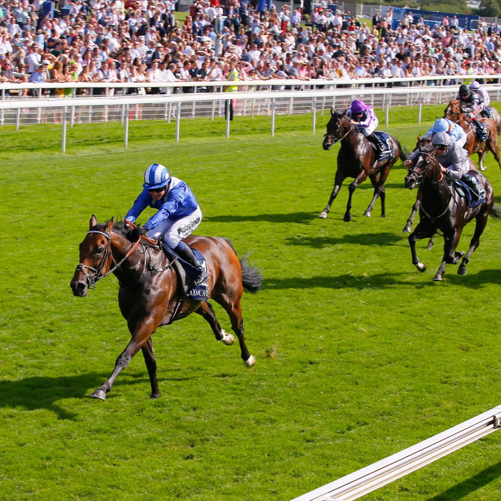 Battaash wins the 2019 Coolmore Nunthorpe Stakes in record time