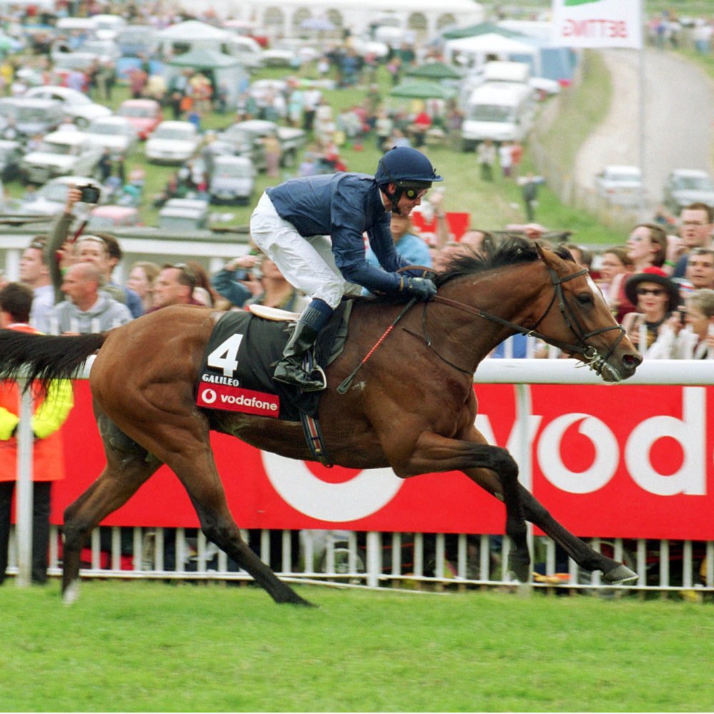 Champion Jump Jockey Contenders Great British Racing