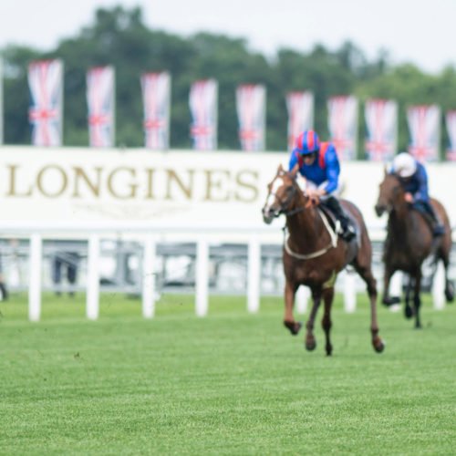 Greatest stayer Stradivarius