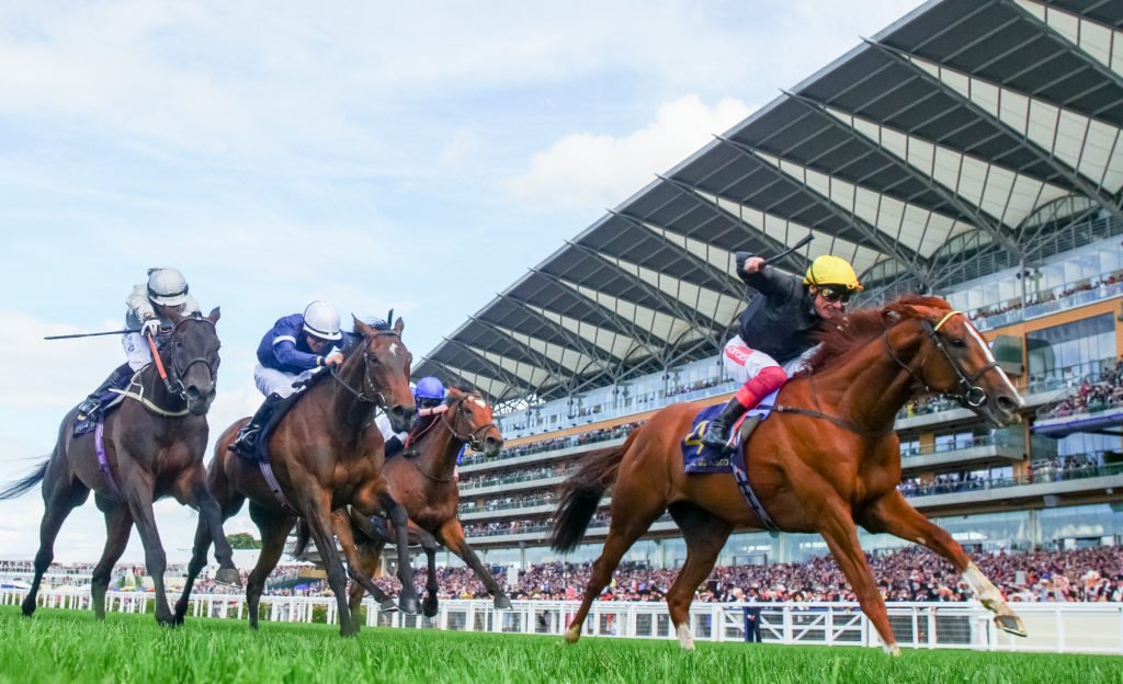 2019 Ascot Gold Cup