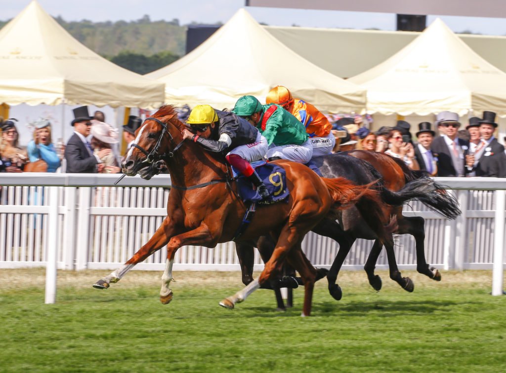 2018 Ascot Gold Cup