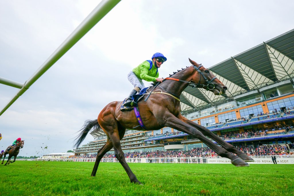 Subjectivist -Joe Fanning wins from the field The Gold Cup at Royal Ascot 2021