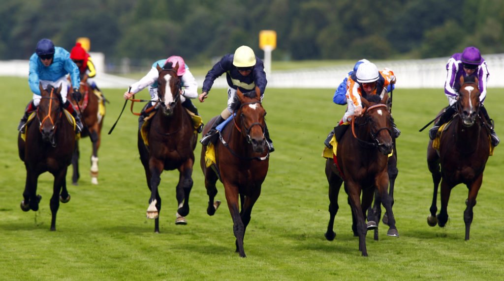 Danedream and Andrasch Stark (orange) winning the 2012 King George from Nathaniel (dark blue)