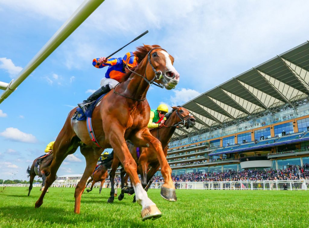 Love wins the 2021 Prince Of Wales's Stakes from Adayar