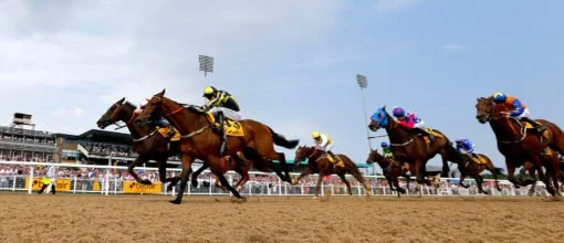 Newcastle racecourse all weather track