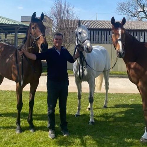 Evan Williams horses