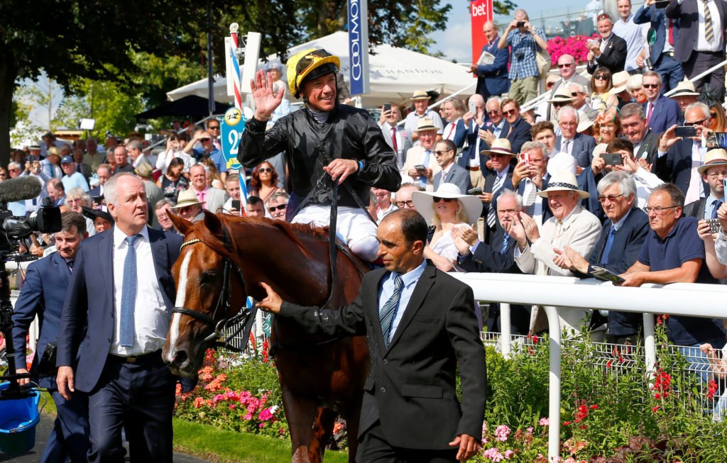 Stradivarius after winning his second Lonsdale Cup