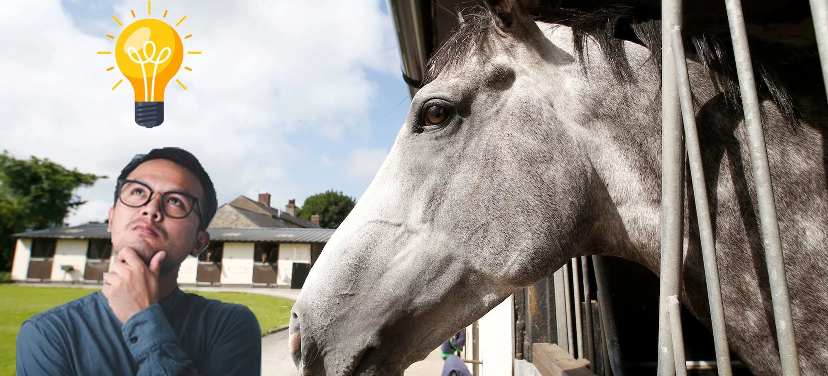 Guide How do you pick a name for a racehorse? Great British Racing