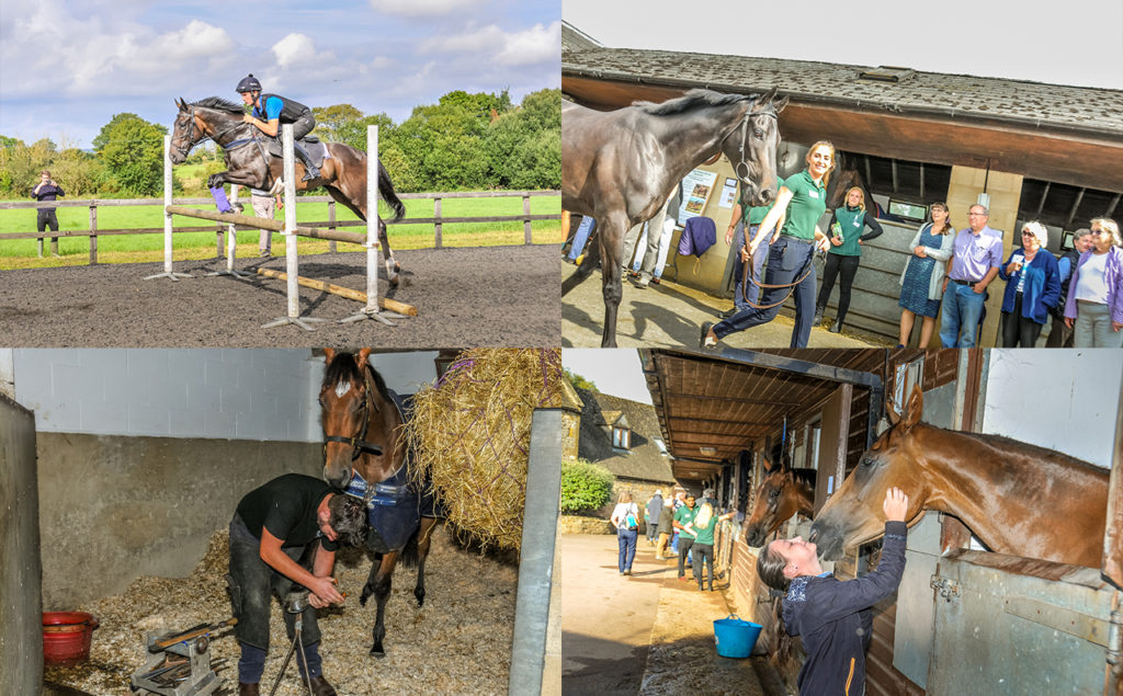 Activities at Richard Phillips' yard open day