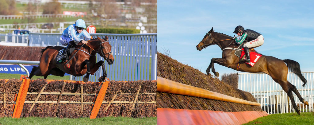 A hurdle and a fence