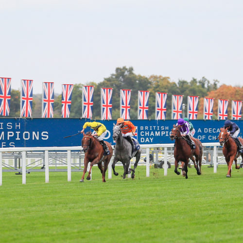 Champions Day 2021 preview