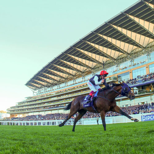 Champions Day greats quiz
