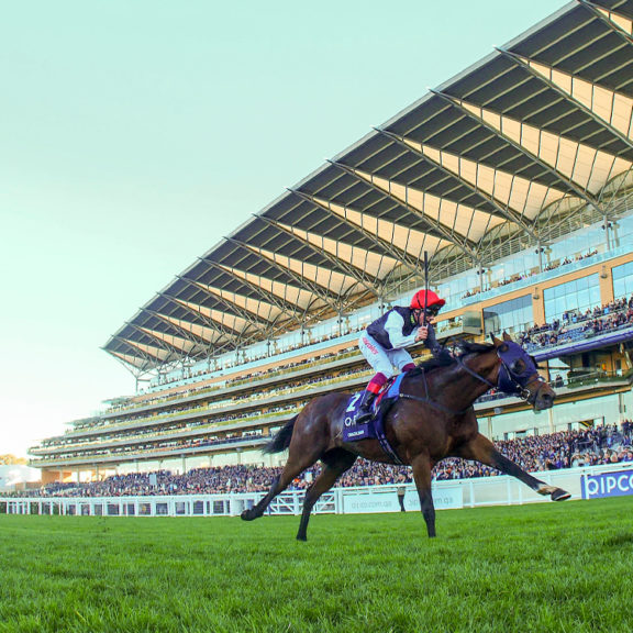 Conditional Jockeys' Championship - The Frontrunners - Great British Racing