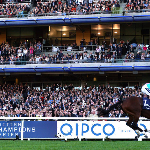 Frankel Champions Day 2011