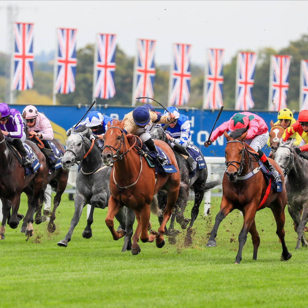 Jockey Fitness Explained - Great British Racing